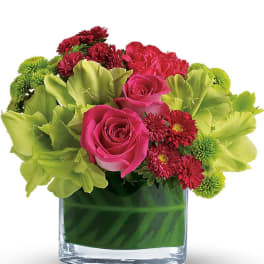 Short arrangement of hot pink roses, green orchids, and button mums in a clear glass cylinder vase