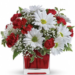 Arrangement of white daisies and red carnations in a red glass cube vase