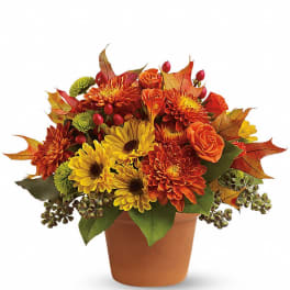 Low arrangement of orange roses, yellow daisies, and orange chrysanthemums in a terracotta pot