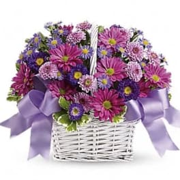 Basket of purple and pink daisies with a lavender ribbon