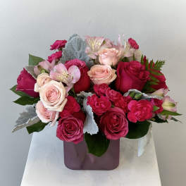 Compact arrangement of hot pink and blush roses with pink alstroemeria in a mauve cube vase