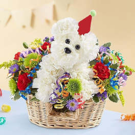 White flower dog in a basket with a red party hat