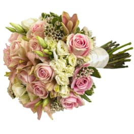 Bouquet of pink and white roses with small white filler flowers