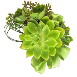 Succulent Corsage by BloomNation™