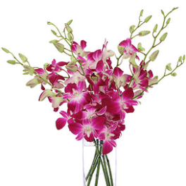 Tall arrangement of pink and white orchids in a clear rectangular glass vase