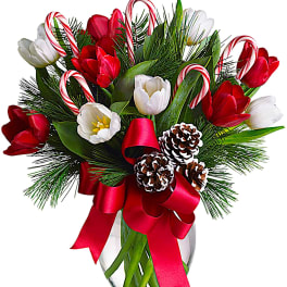 Red and white tulips with candy canes in a glass vase