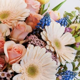 Bouquet of peach roses, white daisies, and blue flowers