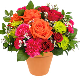 Mixed bouquet of orange, pink, and red flowers in a terracotta pot
