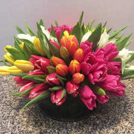 Colorful tulip arrangement in a low black container
