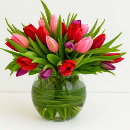 Bouquet of red, pink, and purple tulips in a clear glass vase