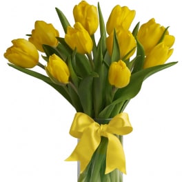 Vase of bright yellow tulips with a matching yellow bow around a clear glass cylinder