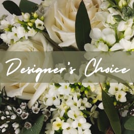 Designer's Choice- Sympathy