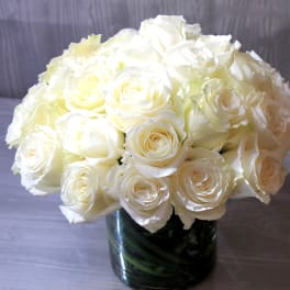 Two Dozen White Roses