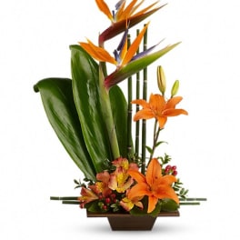 Tropical flower arrangement with orange birds of paradise and lilies in a low vase