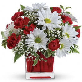 Red carnations and white daisies in a red glass vase
