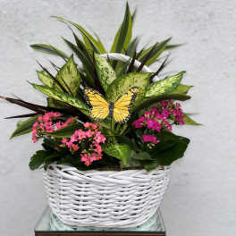 Pink flowers in a white wicker basket with a yellow butterfly decoration