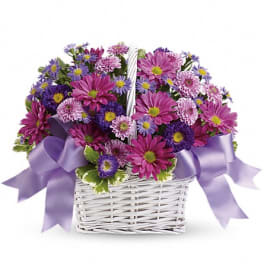 Purple and pink daisy bouquet in a white basket with lavender ribbon