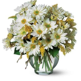 White daisy bouquet in a clear glass vase