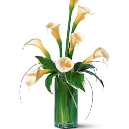 Arrangement of cream calla lilies in a tall glass vase