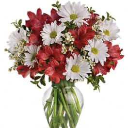 Bouquet of red and white flowers in a clear glass vase