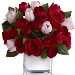 Red and pale pink roses arranged in a clear glass vase
