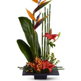 Tropical flower arrangement with bird of paradise and lilies in a black vase
