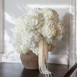 Large white hydrangea arrangement in a rustic brown pot with trailing ivory accents.