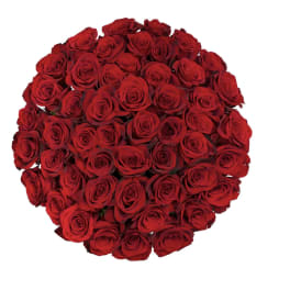 Tightly clustered bouquet of red roses viewed from above