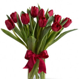 Red tulips in a clear glass vase with a red ribbon