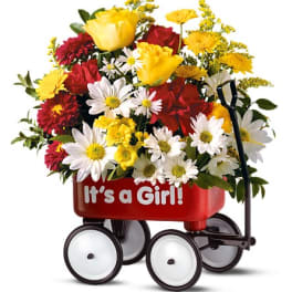 Mixed yellow, red, and white flowers in a red wagon that says "It's a Girl!"