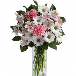 Pink carnations and white daisies in a clear glass vase