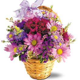 Basket of pink and purple daisies with a lavender ribbon