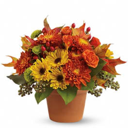 Autumn bouquet of yellow and orange flowers in a terracotta pot