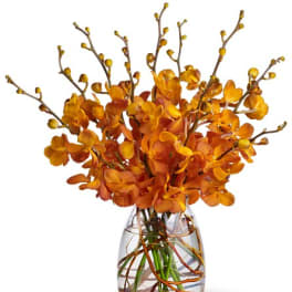 Orange orchid arrangement in a clear glass vase