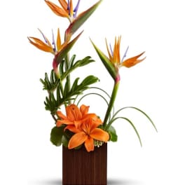 Orange bird of paradise flowers in a tall wooden vase