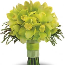 Bouquet of lime green orchids with a ribbon-wrapped stem