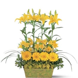 Yellow lilies and daisies arranged in a rectangular planter