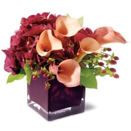 Calla lilies and burgundy hydrangeas in a square glass vase
