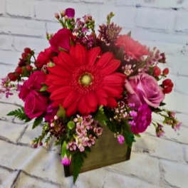 Red gerbera bouquet with pink roses in a square box