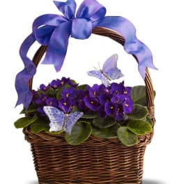 Purple flowers in a wicker basket with a blue ribbon and butterfly decorations