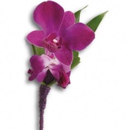Purple orchid boutonniere with green leaves