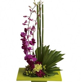 Purple orchid arrangement with bamboo and green fan leaves in a square container