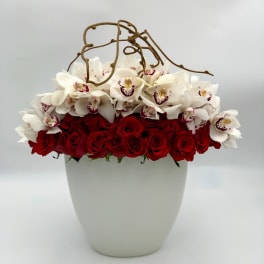 Red roses and white orchids in a white vase with curly branches