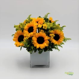 Sunflower arrangement in a square glass vase