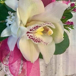White orchid bouquet with pink ribbon and green leaves