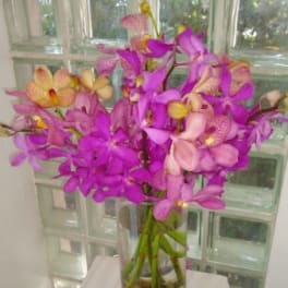 Irresistible Orchid Bouquet