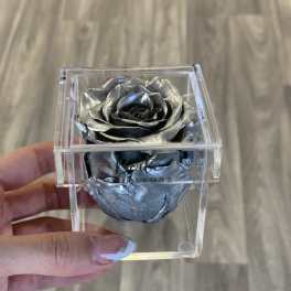 Single metallic silver rose in a clear acrylic box