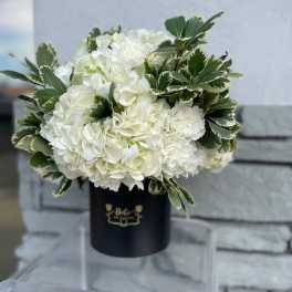 White hydrangea bouquet in a black hat box with variegated greenery