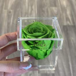 Bright green rose in a clear acrylic box