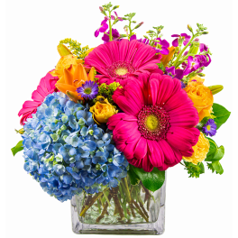 Bright mixed bouquet in a clear square vase with blue hydrangea and pink gerbera daisies